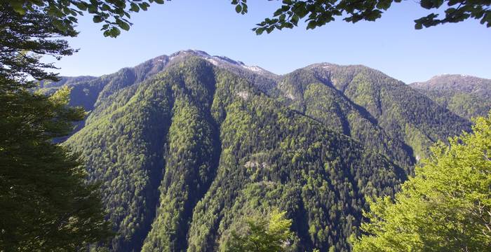 Riserva forestale dell'Onsernone © Andrea Persico