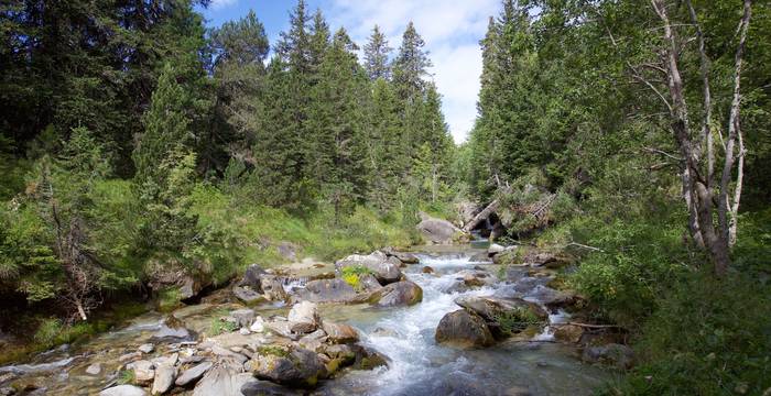 Il Brenno sul Lucomagno: libero e naturale