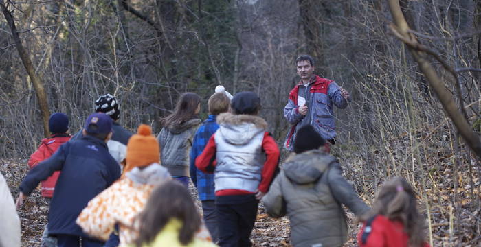 Animatura nel bosco