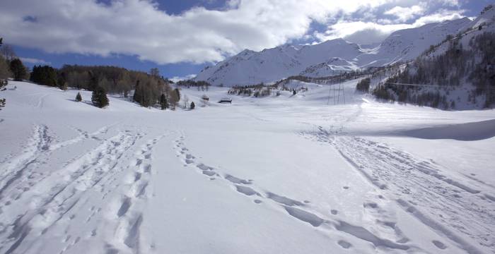 Tracce nella neve © Andrea Persico