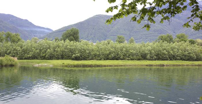 La foce del Ticino senza estrazione di inerti