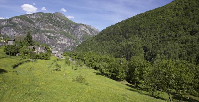 Prati di Linescio © Andrea Persico