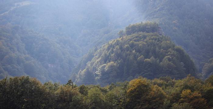 nebbie in valle Verzasca