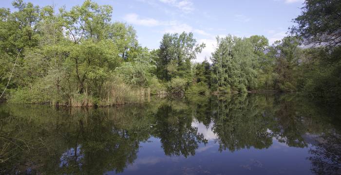 Lago di Cugnoli Curti