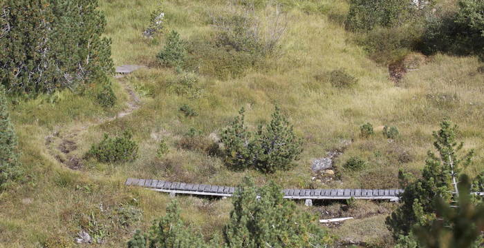 Naturetum