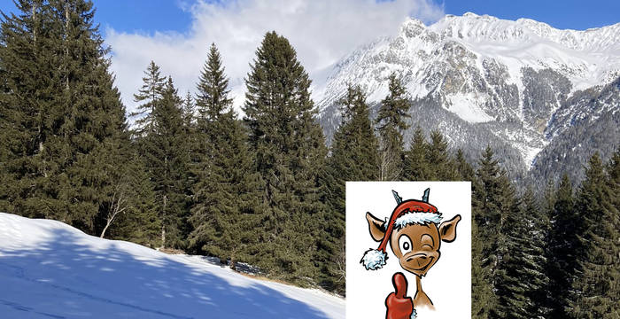 abeti e neve