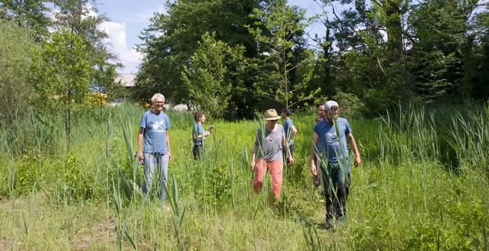 Ecovolontariato