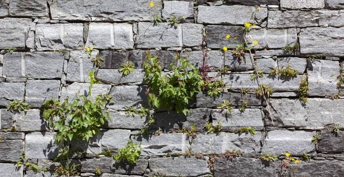 Muro moderno