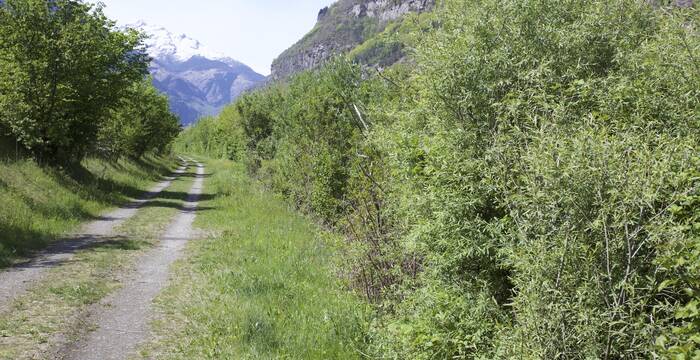 Vie verdi per interconnessione comunale
