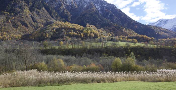Olivone e cima di Pinaderio
