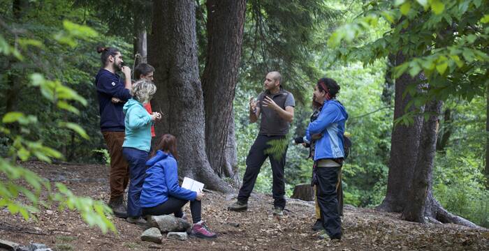 Formazione nel bosco