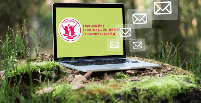 Newsletter educazione