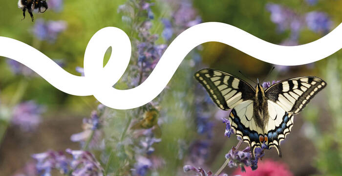 Bonjour Nature - Benvenuta in giardino