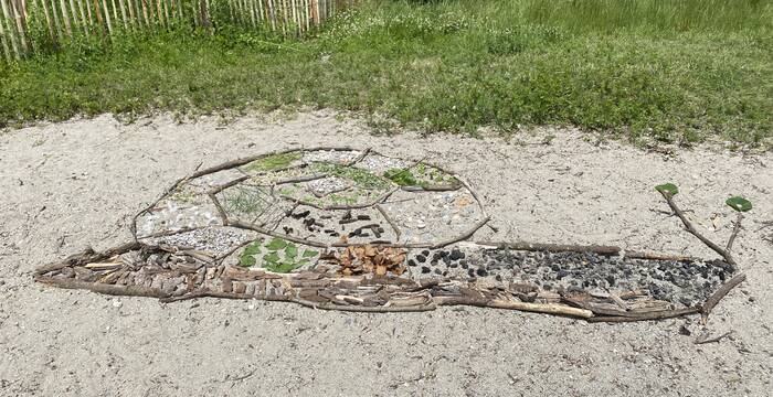 Foto vincitrice di giugno