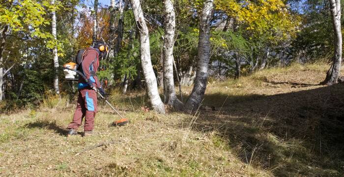 Civilista Naturnetz con decespugliatore