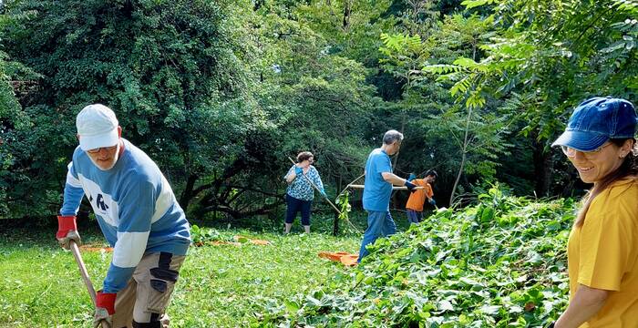 Cugnoli Curti riserva Naturale Poligono del Giappone
