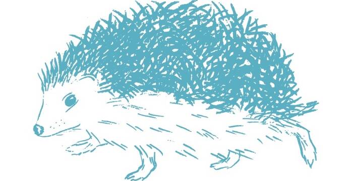 disegno riccio che guarda a sinistra