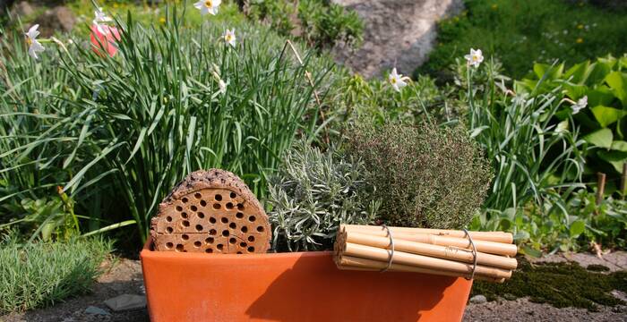 Nido per api selvatiche