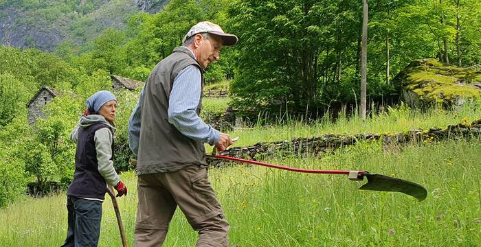 Segare con la falce è bello!
