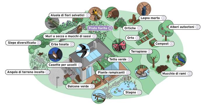 Come valutare il tuo giardino naturale