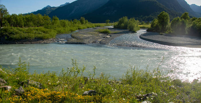 Corsi d’acqua nuovamente pieni di vita: nei fiumi rinaturati e vicini allo stato naturale la lontra e i pesci trovano ambienti vitali ottimali e sicuri. Nella foto: il fiume Inn in Engadina