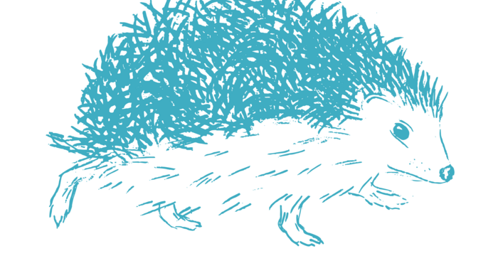 riccio illustrazione
