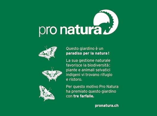 placchetta 3 farfalle
