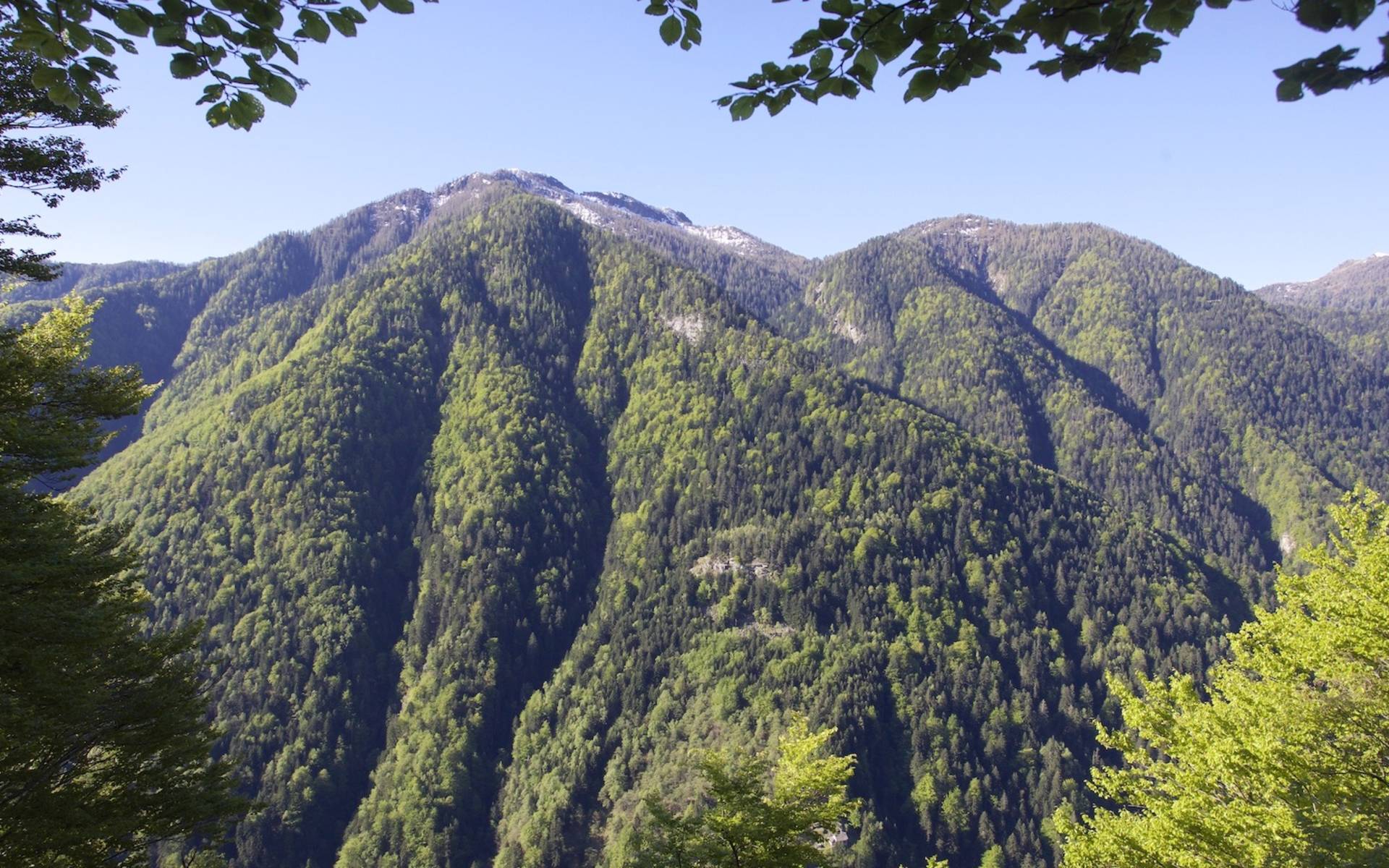 Riserva Forestale dell'Onsernone © Andrea Persico