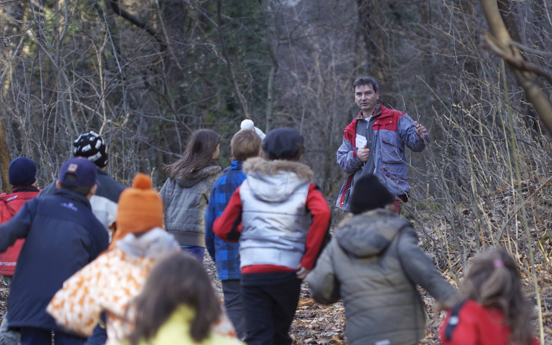 Animatura nel bosco © Andrea Persico