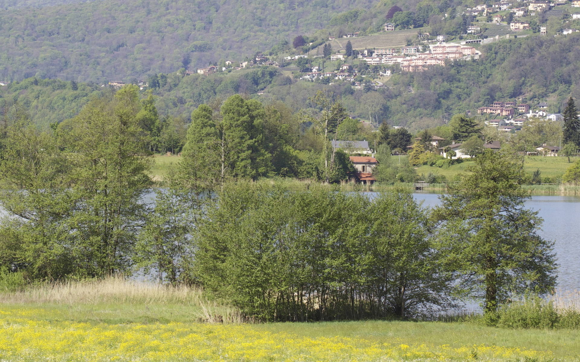 Aula sull'acqua © Andrea Persico