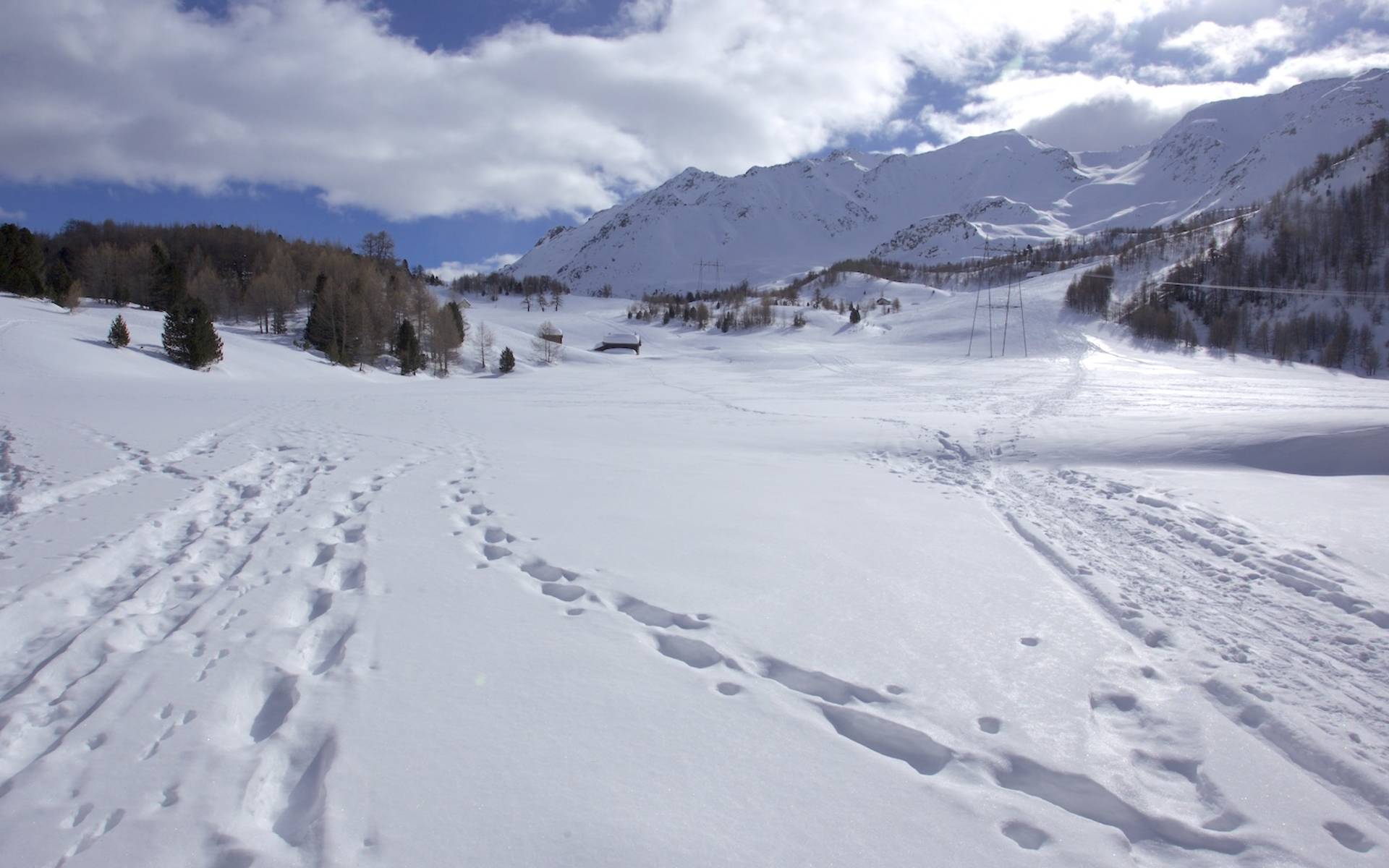 Tracce nella neve © Andrea Persico