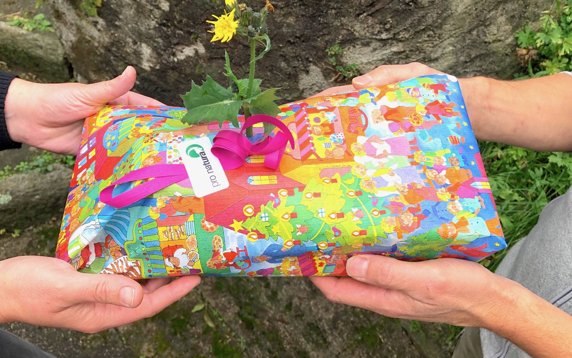 Un doppio regalo © Martina Spinelli