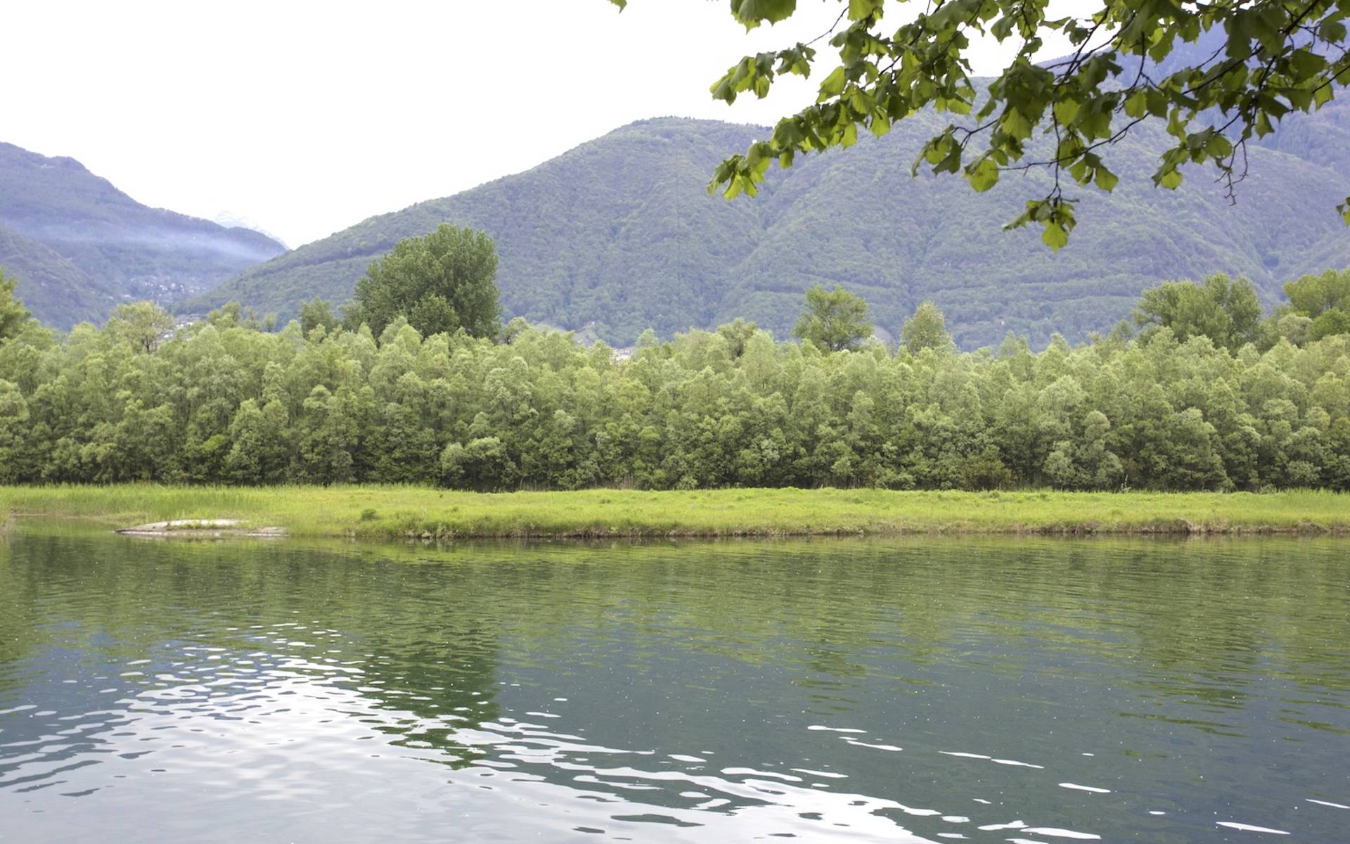 La foce del Ticino senza estrazione di inerti