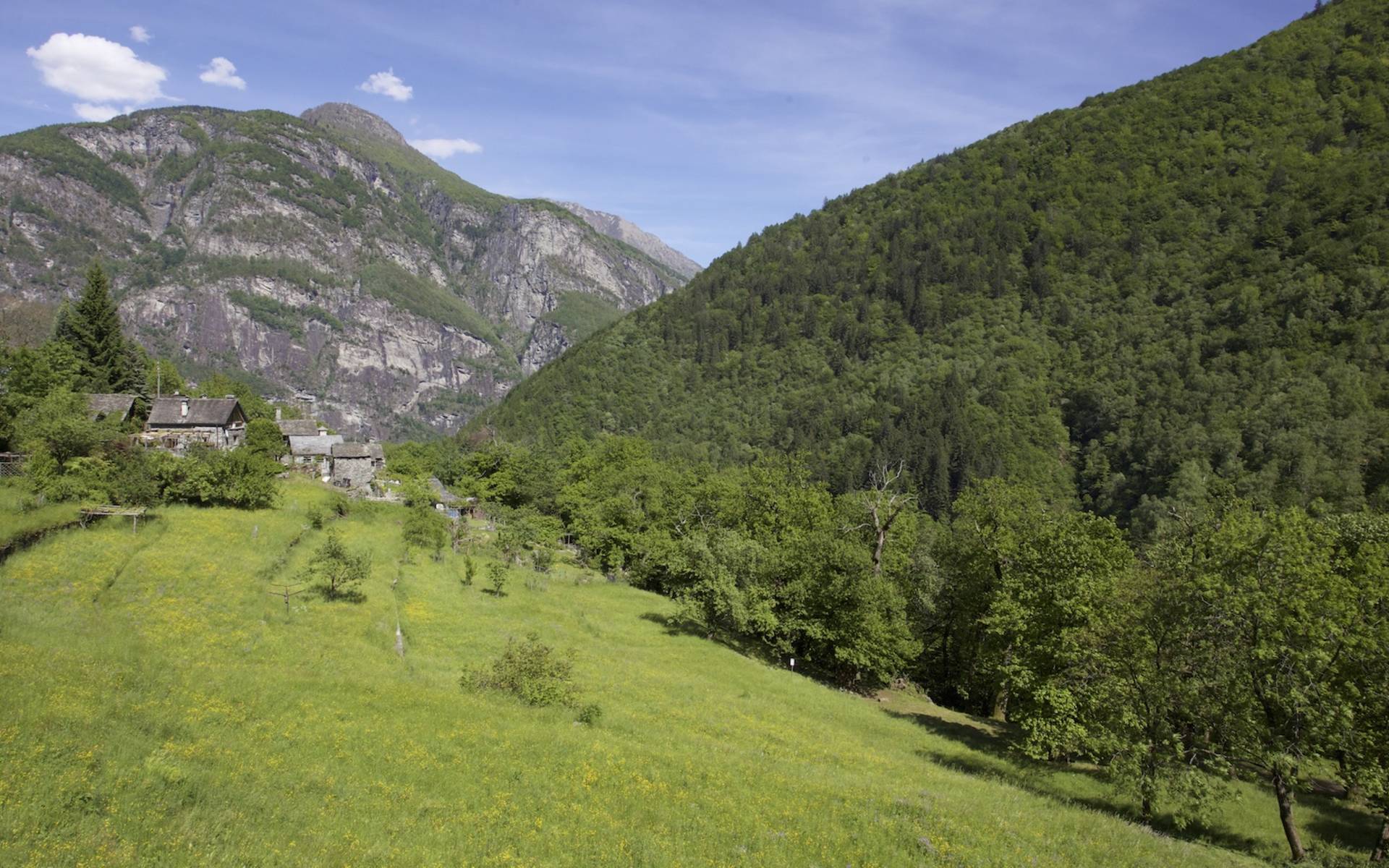 Prati di Linescio © Andrea Persico