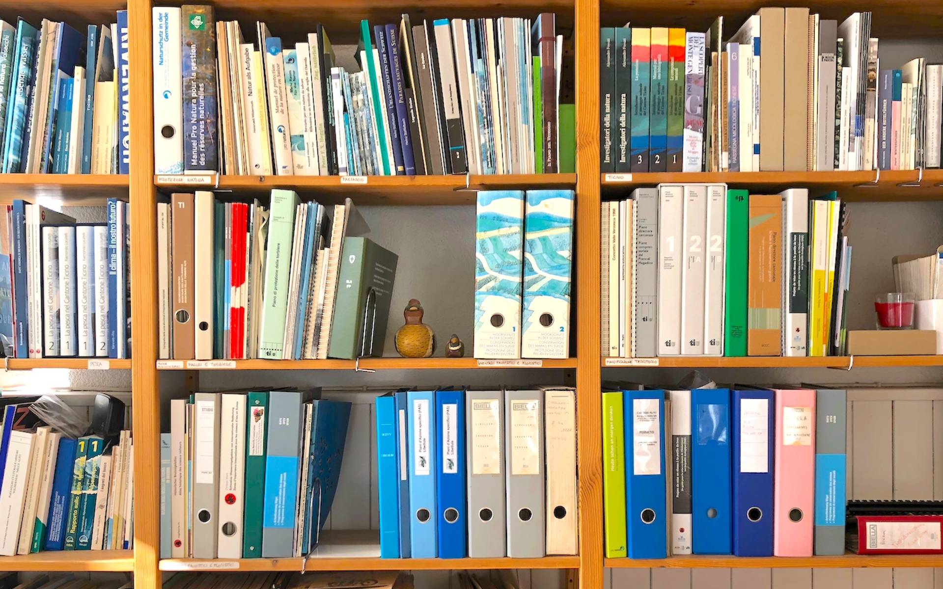 Biblioteca © Andrea Persico