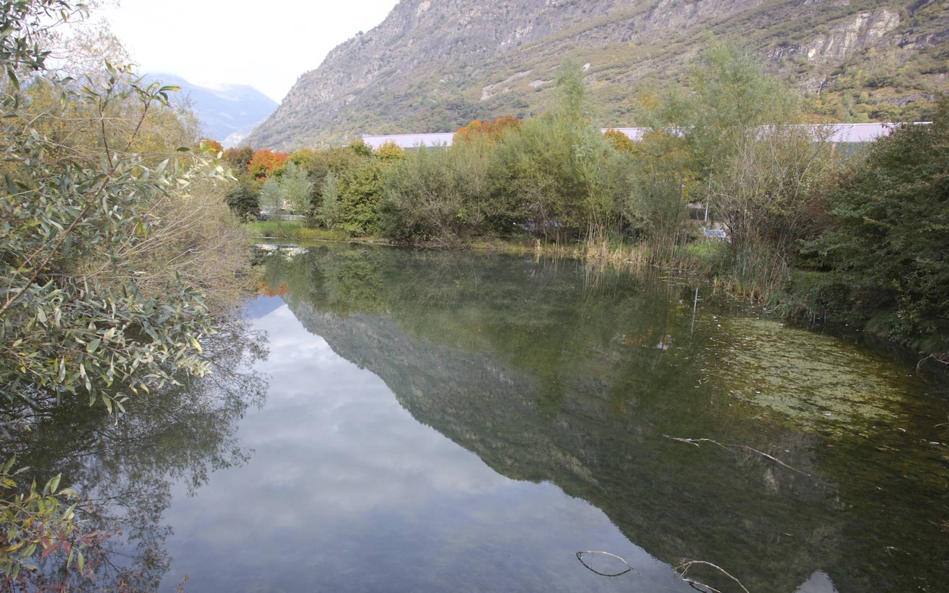 Biotopo Dragone - Biasca © Andrea Persico
