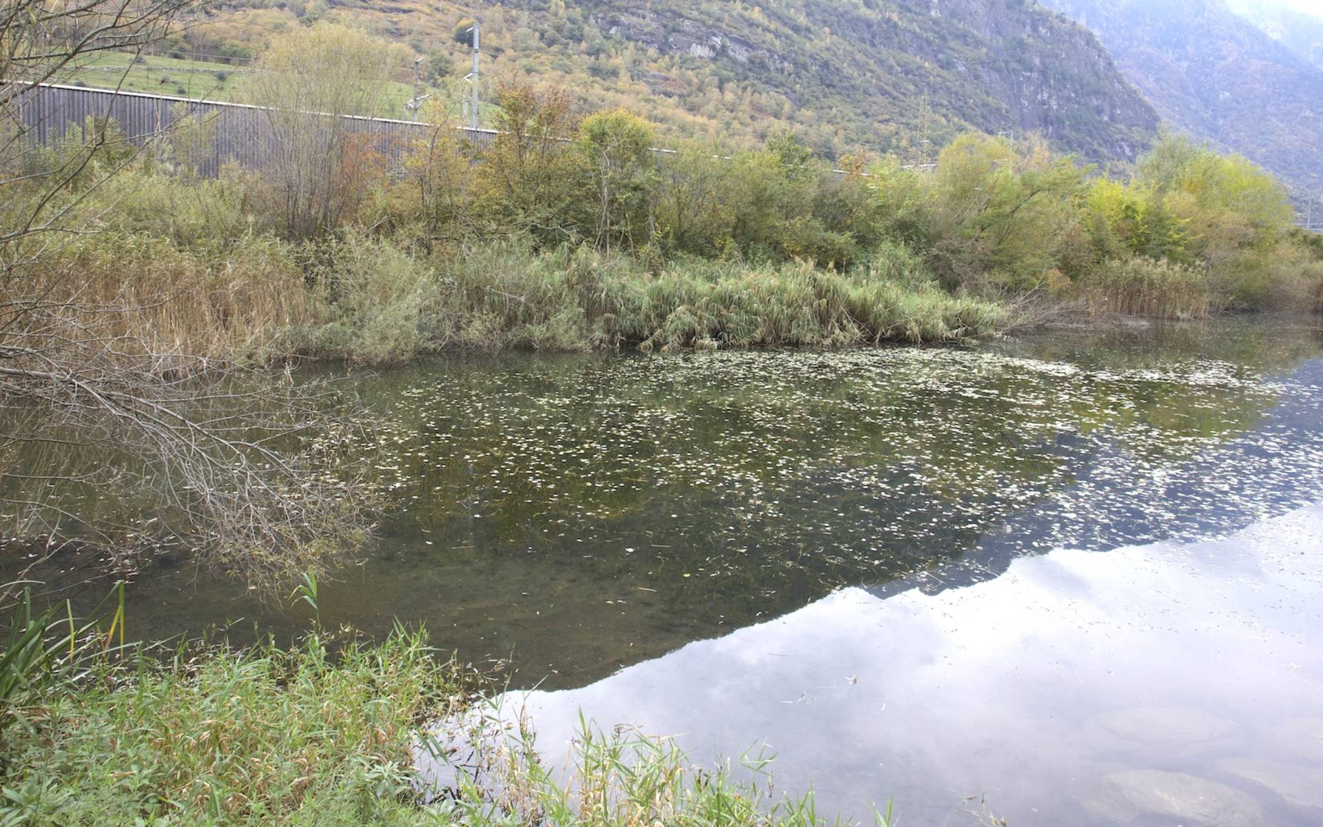 Biotopo di Pasquerio © Andrea Persico