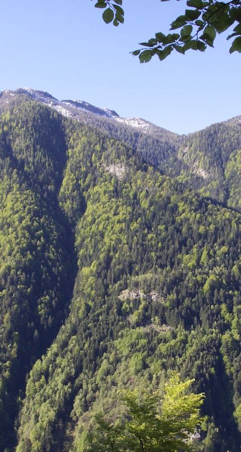 Riserva Forestale dell'Onsernone
