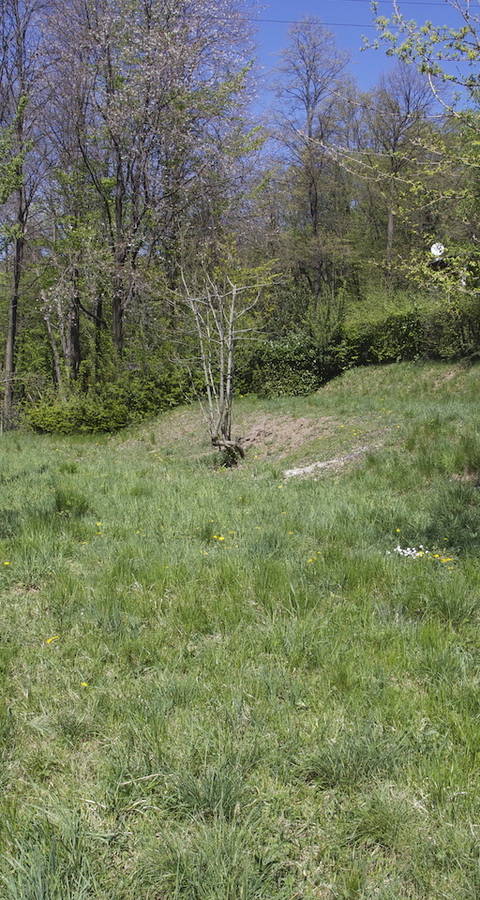 Veduta della tenuta Guyer a Meride