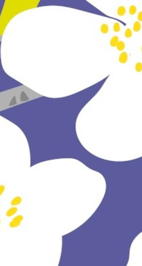 mostra InZetti