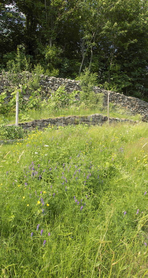 Giardino naturale