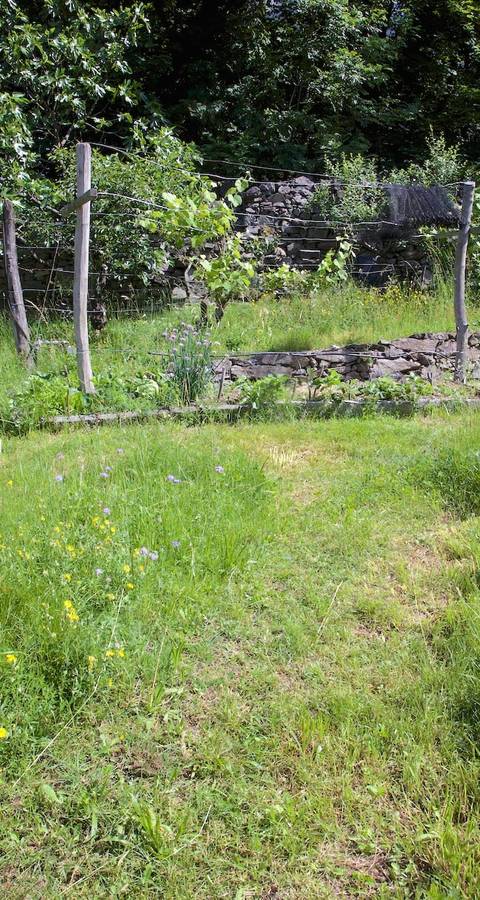 Giardino naturale