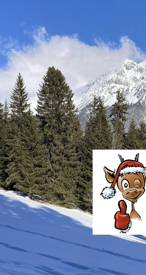 abeti e neve