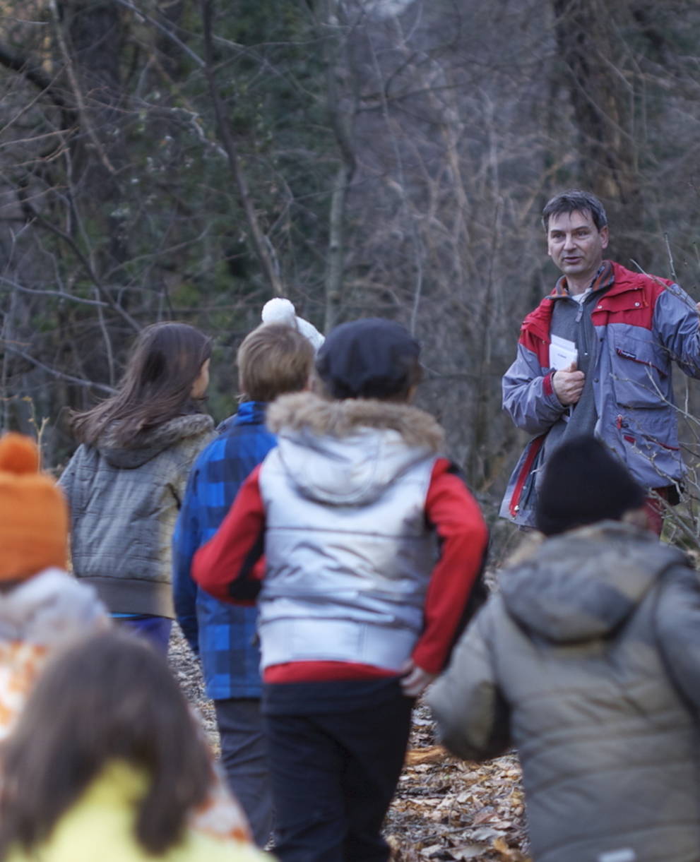 Animatura nel bosco