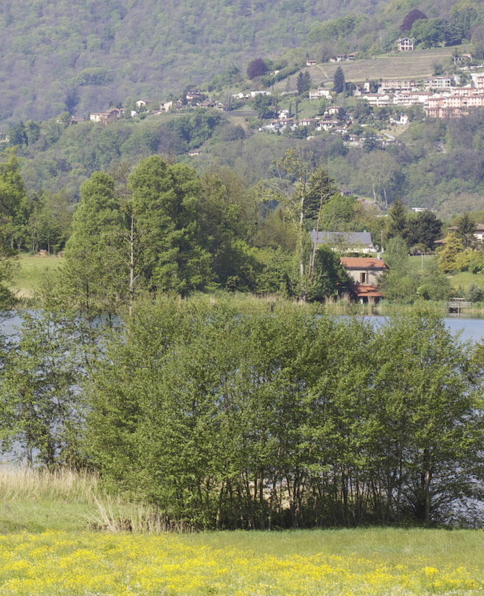 Il laghetto di Muzzano