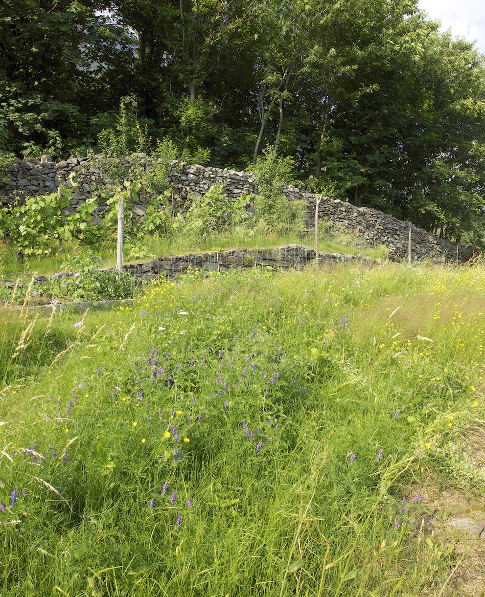 Giardino naturale