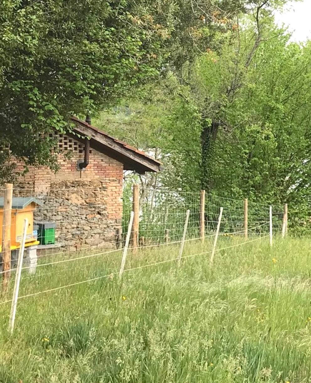Apiario_muzzano_cr_silvia_bernasconi
