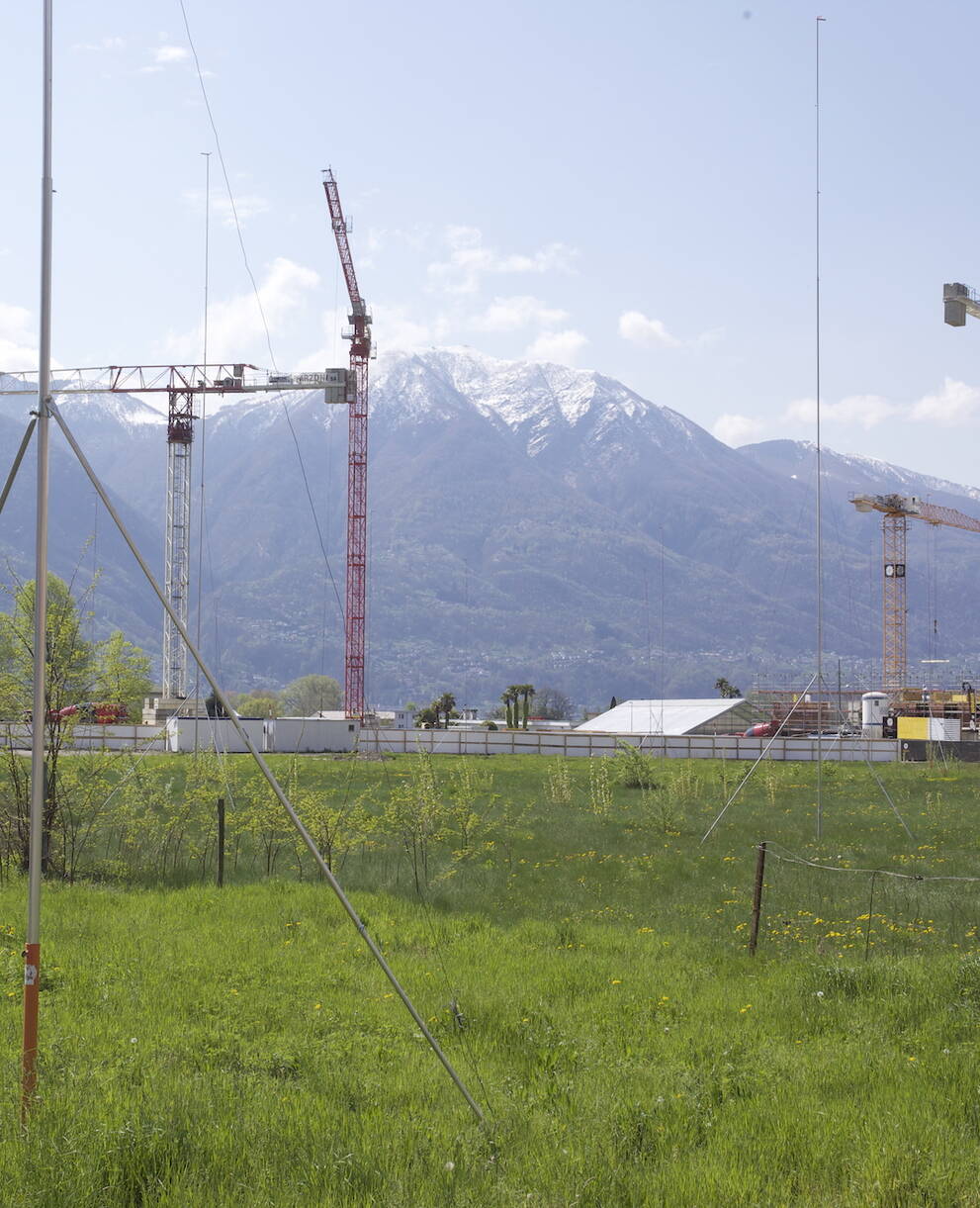 Modine in un prato che ora non c'è più