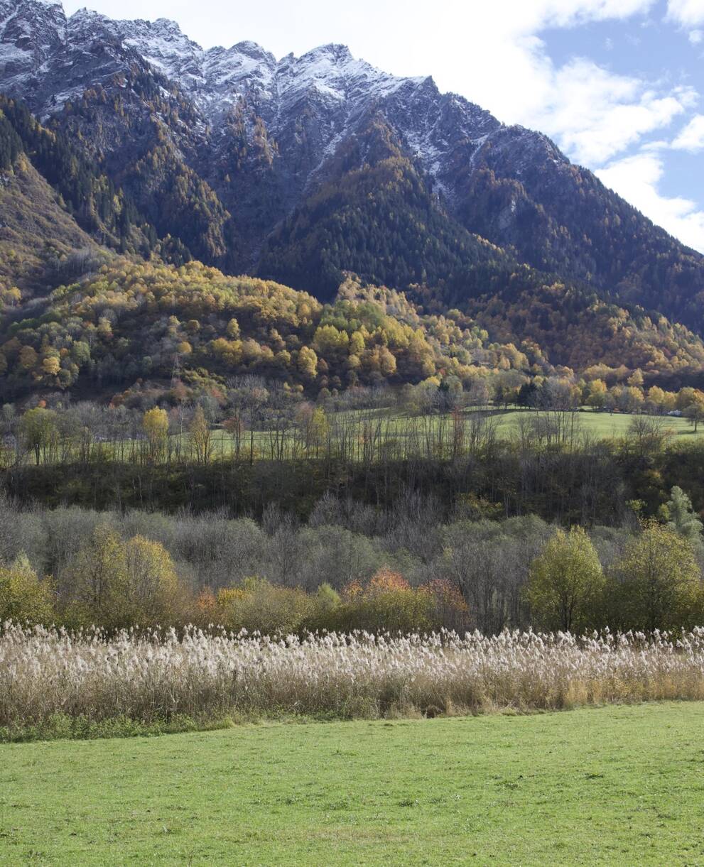 Olivone e cima di Pinaderio