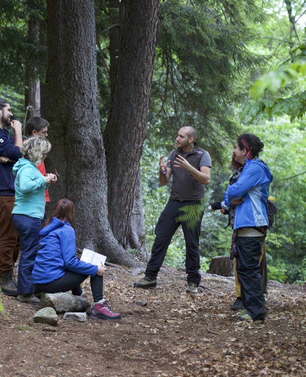 Formazione nel bosco